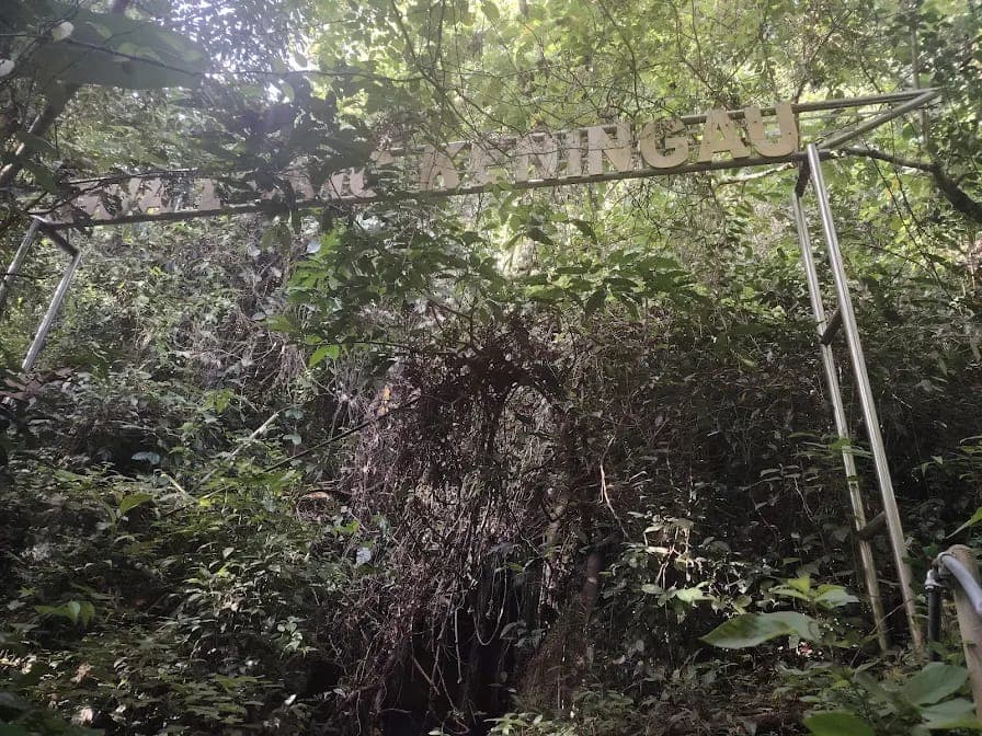 Gua Liang Keningau: Khazanah Tersembunyi untuk Percutian di Sabah yang Luar Biasa
