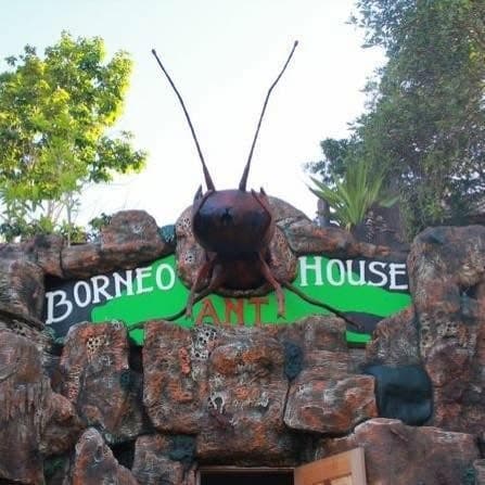 Borneo Ant House Tuaran: Destinasi Santai Sambil Belajar Yang Paling Ngam Bawa Famili